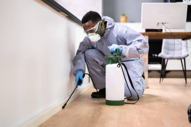 Best Fumigation Services  in Franklin Park, NJ